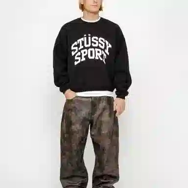 Stussy Big Crackle Sport Crew