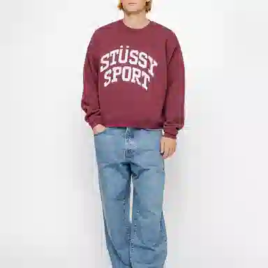 Stussy Big Crackle Sport Crew