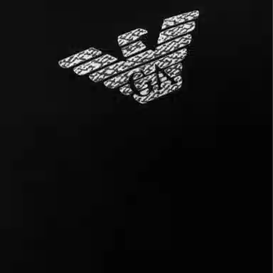 EMPORIO ARMANI SS22 LogoT