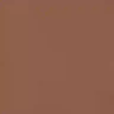 Dior x Travis Scott Cactus Jack FW22