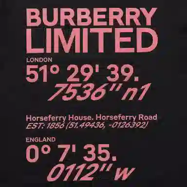 Burberry LogoT