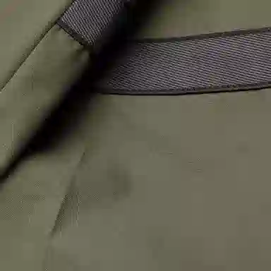 Alexander McQueen Logo