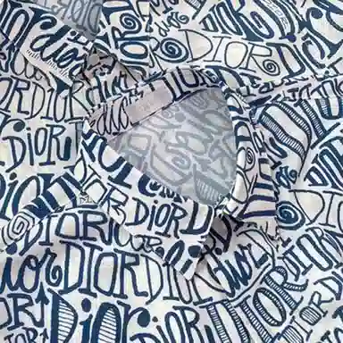 Dior x Shawn Logo Long Sleeve Shirt