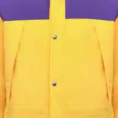 GUCCI x THE NORTH FACE Logo