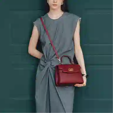 红蜻蜓 气质高级中年妈妈款 牛头层皮革 手提包 小号 女款 多色