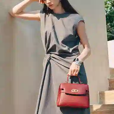 红蜻蜓 气质高级中年妈妈款 牛头层皮革 手提包 小号 女款 多色