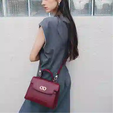 红蜻蜓 气质高级中年妈妈款 牛头层皮革 手提包 小号 女款 多色