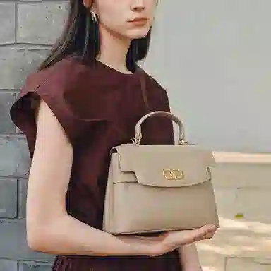 红蜻蜓 气质高级中年妈妈款 牛头层皮革 手提包 小号 女款 多色