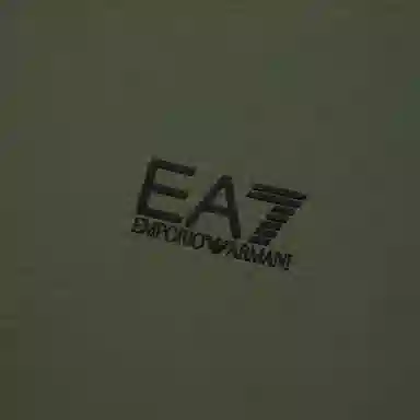 EMPORIO ARMANI EA7 FW24 T