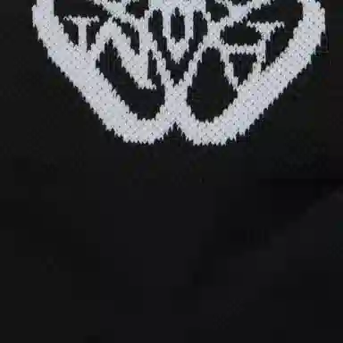 Alexander McQueen Logo 1