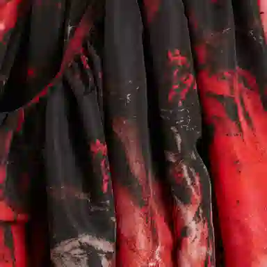 Alexander McQueen SS22