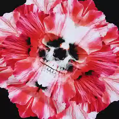 Alexander McQueen LogoT