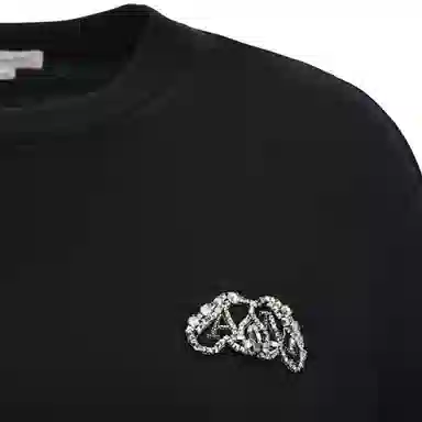 Alexander McQueen T