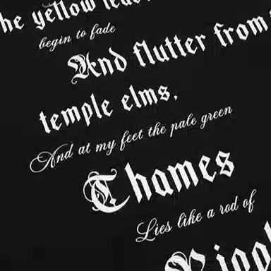 Alexander McQueen SS25 T