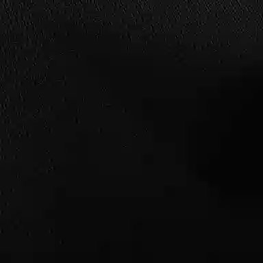 Alexander McQueen FW21