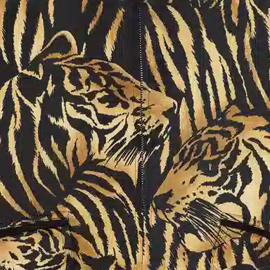 Saint Laurent Tiger Print Jacket