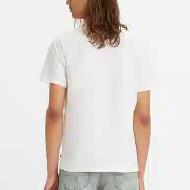 levis T