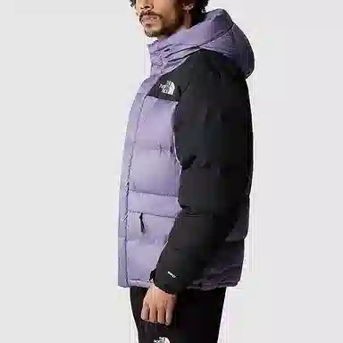 The North Face Himalayan Down Parka