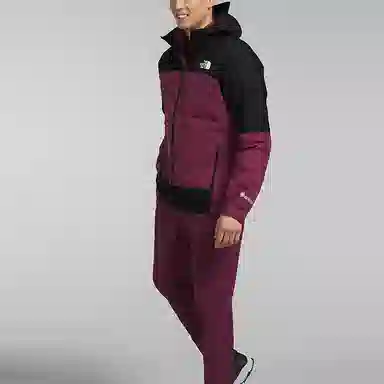 THE NORTH FACE Mountain Light Triclimate Logo