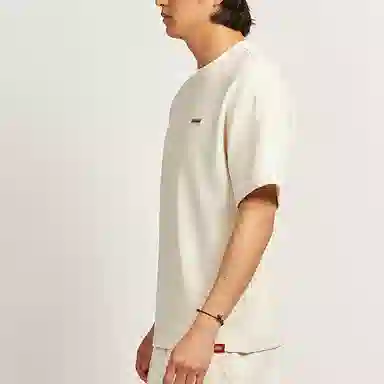 Dickies T