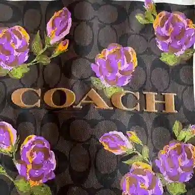 COACH SS23 T
