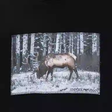 EMPORIO ARMANI FW22 T