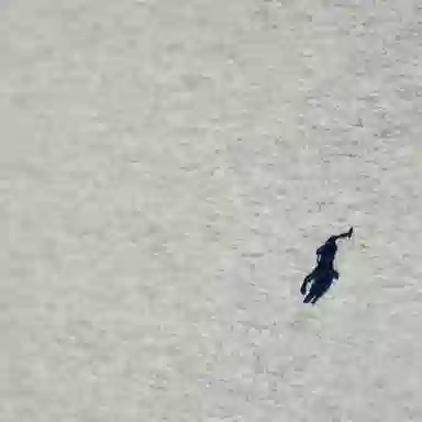 Polo Ralph Lauren LogoT