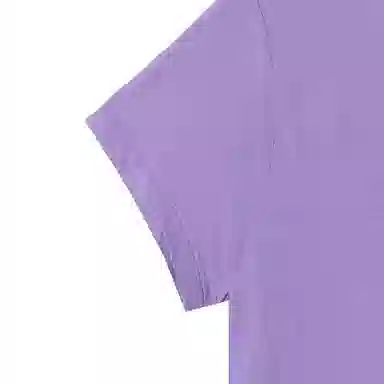 Polo Ralph Lauren LogoV T