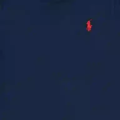 Polo Ralph Lauren LogoT