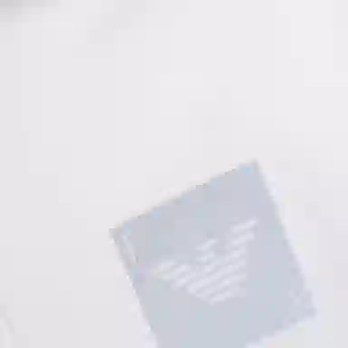 EMPORIO ARMANI SS23 Logo