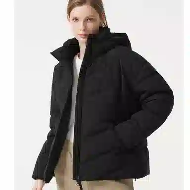 LACOSTE FW23