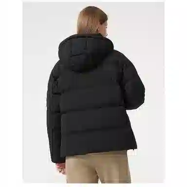 LACOSTE FW23