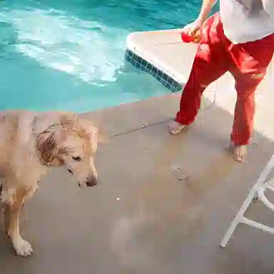 Drew House logo secret