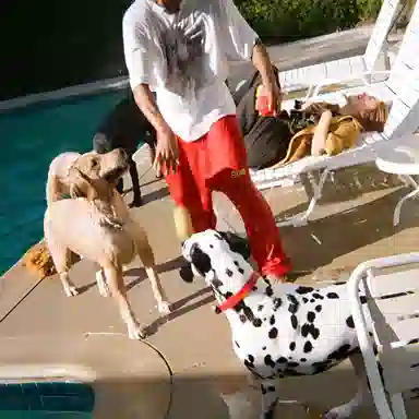 Drew House logo secret