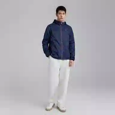 Tommy Hilfiger Logo