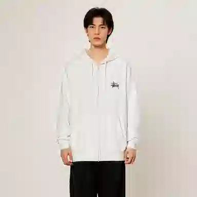 Stussy SS22 Basic Stussy Zip Hood Logo
