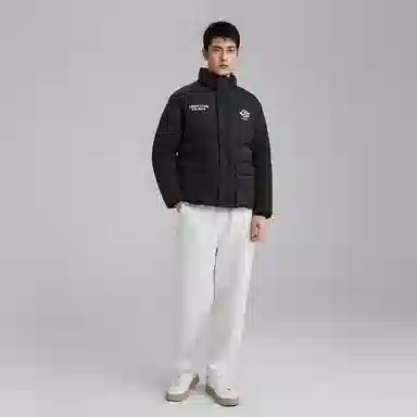 泰迪珍藏 纯色基础款字母印花立领百搭美式宽松休闲加绒加厚保暖防寒工装无性别羽绒服外套 男女同款