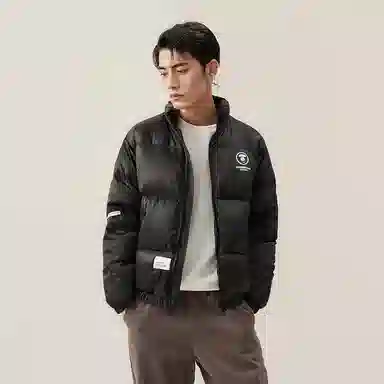 Aape FW24