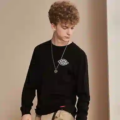 Dickies logoDK009571