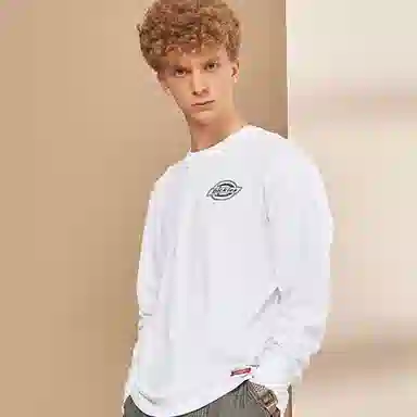 Dickies logoDK009571
