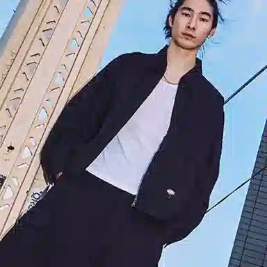Dickies