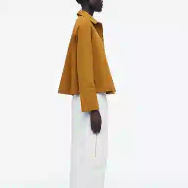 COS Polo Shirt Brown