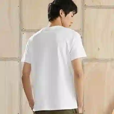 Dickies LogoT