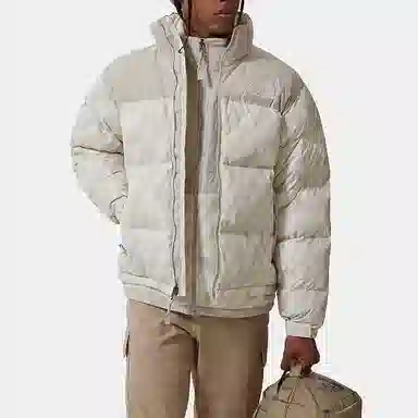 The North Face 1996 Retro Nuptse Silver Grey White