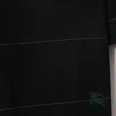 Burberry FW23 LogoPolo