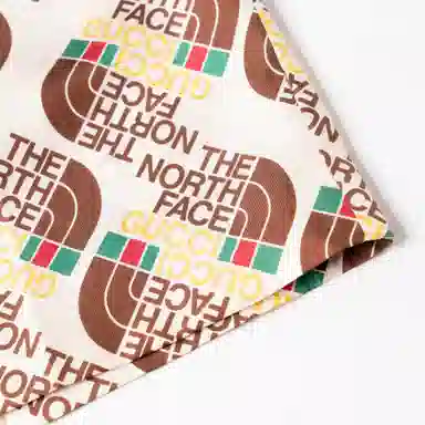 GUCCI x THE NORTH FACE SS21 Logo