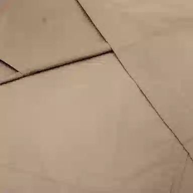 Burberry FW23 Brown Coat