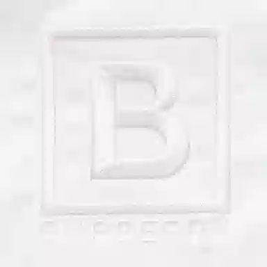 Burberry FW22 Logo