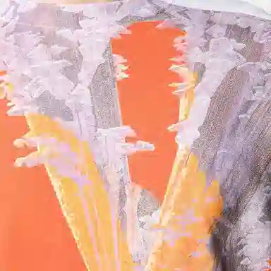 Valentino x Roger Dean T