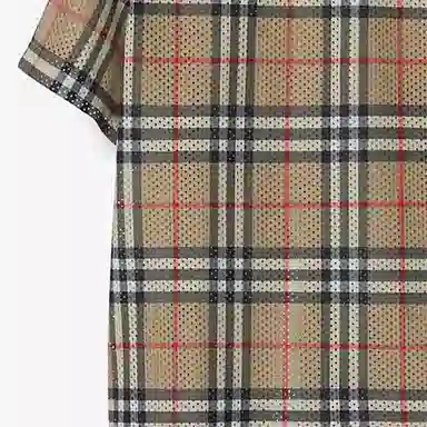 Burberry T
